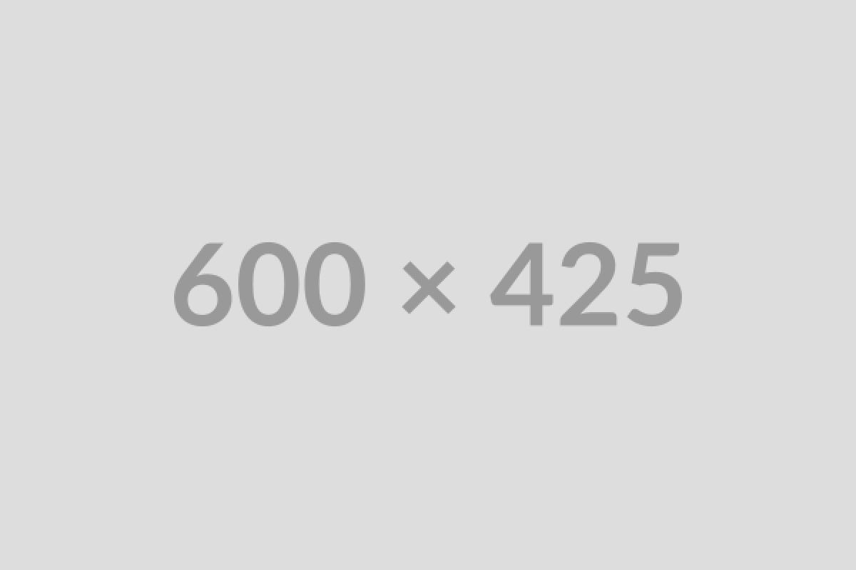 How I Built My Personal Portfolio Using Botble CMS